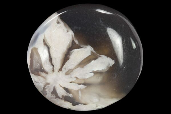 Polished Flower Agate Stones - 1 1/2